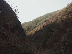 -大围山国家森林公园