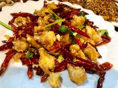-韩风烤牛肉冷面店
