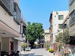 -龙川佗城