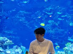 -欢乐海岸海洋奇梦馆