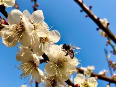 -广州市流溪河国家森林公园