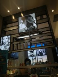 -Mr.JUDY洗个头发