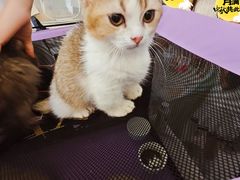 -凯德广场(金牛店)