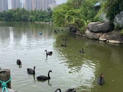 -南昌动物园