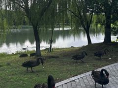 -苏州湾体育公园
