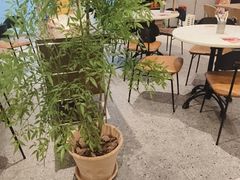 -必胜客(南通新圆融店)
