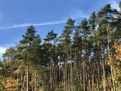 -欧洲被害犹太人纪念碑