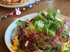 蔬菜沙拉伴海草油醋味噌-FISH&POTATO Cō(地中海美食 万象城店)