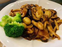 野山菌鹌鹑蛋-小放牛炒菜馆(军校店)