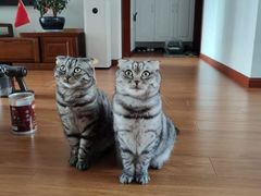 -莆鑫海鲜城(浏河店)