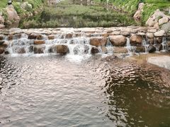 -泰山风景名胜区-虎山公园