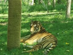 -北京野生动物园