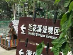 -呀诺达热带雨林