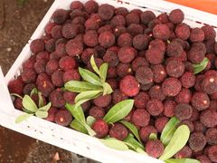 -红星农博物流中心