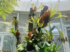 -昆明植物园