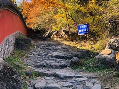 -阳台山自然风景区