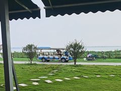 -七的湖·晚芳亭·阳澄湖农家菜·大闸蟹(莲花岛店)