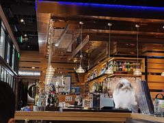 -bluefrog蓝蛙(皇庭广场店)