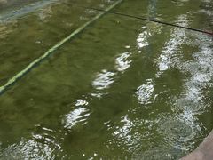 -光头佬室内钓虾场·烧烤·团建·亲子(中山八路店)