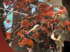 -福照楼汽锅鸡·云南菜(护国路店)