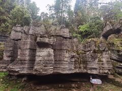 -梭布垭石林景区