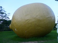 -顺峰山公园
