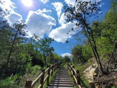 -白水寺森林公园