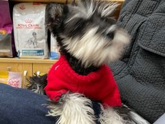 -宠颐生宠物医院·心肾内科·猫专科诊疗中心宠巢店
