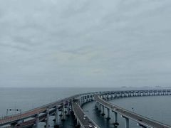 -星海湾跨海大桥
