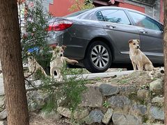 -阳台山自然风景区
