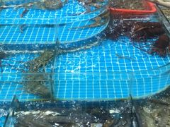 -无锡天鹏食品城