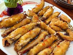-顺德了能馆(虎门店)