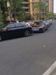 -蚂蚁婚车