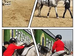 -月河湾马术俱乐部(朝阳店)