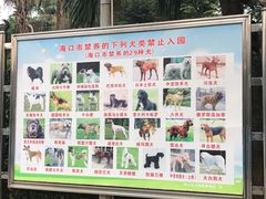 -万绿园