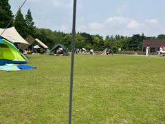 -上海滨江森林公园