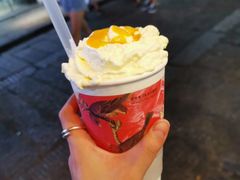 -野人先生现做冰淇淋(西安赛格店)