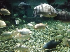 -成都浩海立方海洋公园