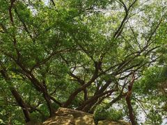 -草庵摩尼教遗址公园