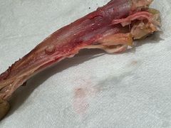 -老乡鸡(融科天地店)