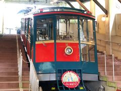 -神户市立六甲山牧场