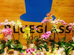 -Blueglass酸奶(华贸购物中心店)