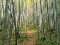 -鸡枕山