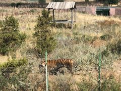-新疆天山野生动物园