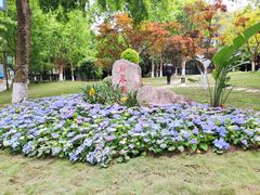 -成都市文化公园