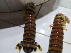 -海盗餐厅