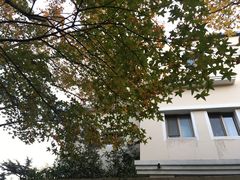 -八大关景区