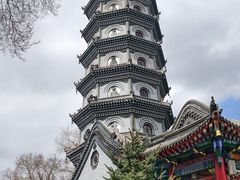 -哈尔滨极乐寺