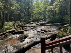 -汤旺河林海奇石景区