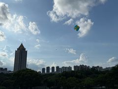 -深圳龙潭公园